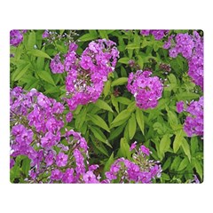 Stratford Garden Phlox Double Sided Flano Blanket (large)  by Riverwoman