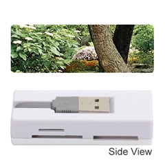 Garden Of The Phoenix Memory Card Reader (stick) by Riverwoman