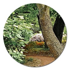 Garden Of The Phoenix Magnet 5  (round) by Riverwoman