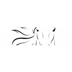 Animal Equine Face Horse Satin Scarf (Oblong) Front