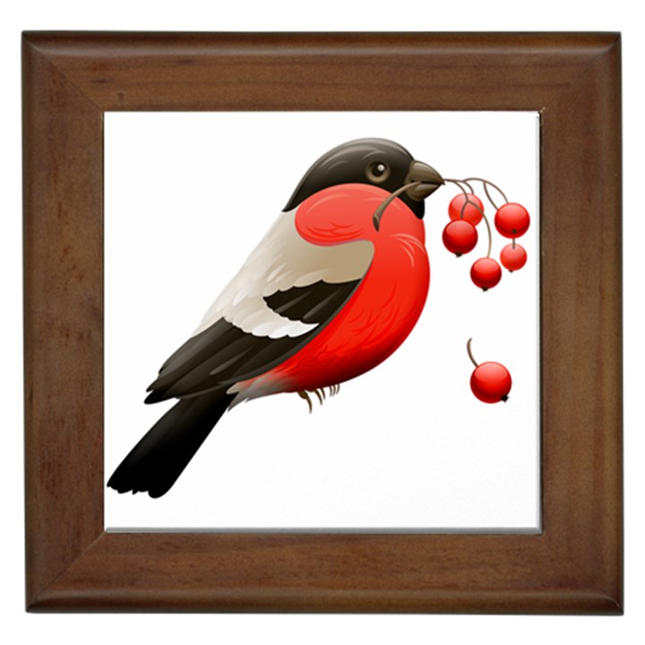 Red Robin Berry Red Berries Bird Framed Tiles