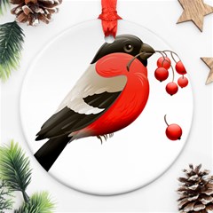 Red Robin Berry Red Berries Bird Ornament (round) by Wegoenart