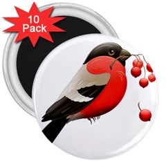 Red Robin Berry Red Berries Bird 3  Magnets (10 Pack)  by Wegoenart