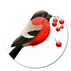 Red Robin Berry Red Berries Bird Magnet 5  (round) by Wegoenart