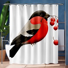 Red Robin Berry Red Berries Bird Shower Curtain 60  X 72  (medium)  by Wegoenart