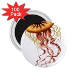 Animal Art Forms In Nature Jellyfish 2.25  Magnets (100 pack)  Front