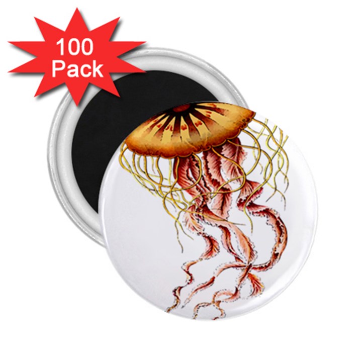 Animal Art Forms In Nature Jellyfish 2.25  Magnets (100 pack) 