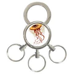 Animal Art Forms In Nature Jellyfish 3-ring Key Chains