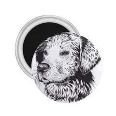 Dog Animal Domestic Animal Doggie 2 25  Magnets by Wegoenart