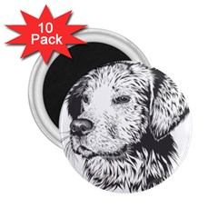 Dog Animal Domestic Animal Doggie 2 25  Magnets (10 Pack)  by Wegoenart