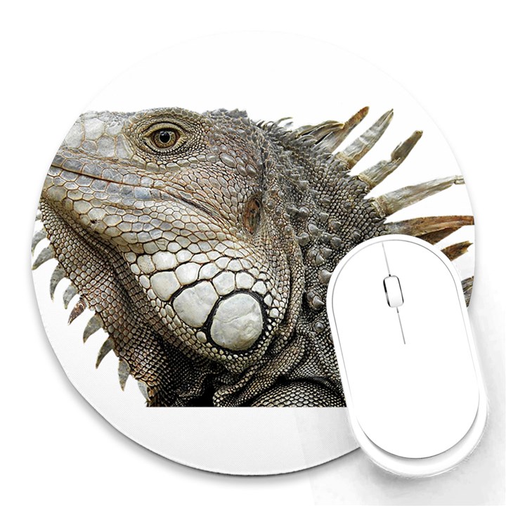 Iguana Portrait Profile Close Up Round Mousepads