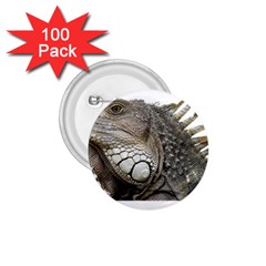 Iguana Portrait Profile Close Up 1 75  Buttons (100 Pack)  by Wegoenart