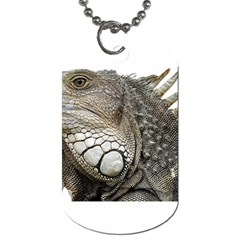 Iguana Portrait Profile Close Up Dog Tag (one Side) by Wegoenart