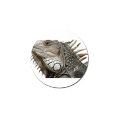 Iguana Portrait Profile Close Up Golf Ball Marker (4 pack)