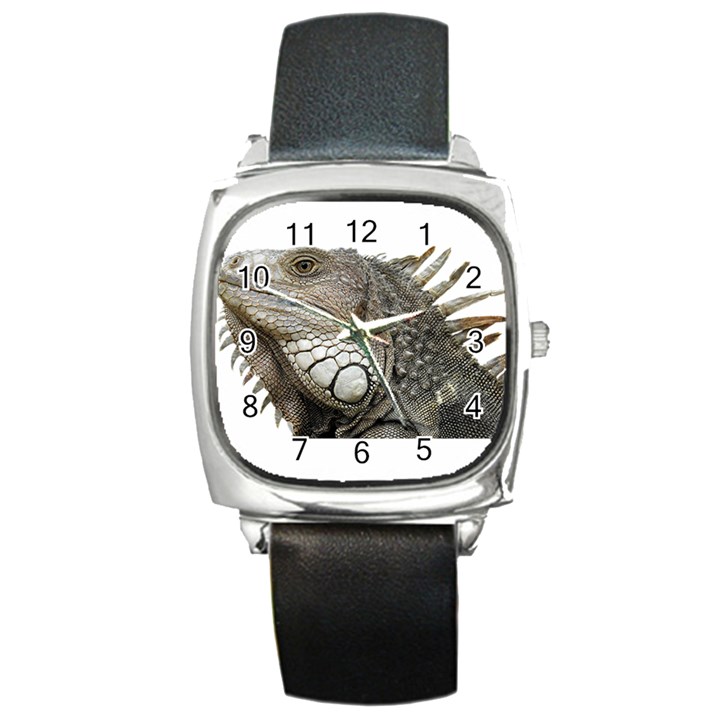 Iguana Portrait Profile Close Up Square Metal Watch