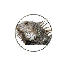 Iguana Portrait Profile Close Up Hat Clip Ball Marker by Wegoenart