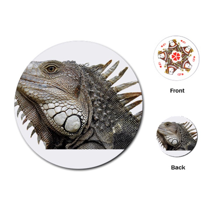 Iguana Portrait Profile Close Up Playing Cards (Round)