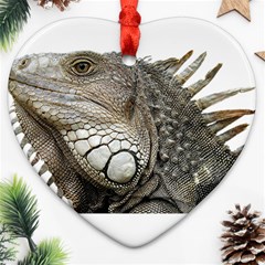 Iguana Portrait Profile Close Up Heart Ornament (two Sides)