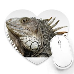 Iguana Portrait Profile Close Up Heart Mousepads by Wegoenart