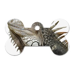 Iguana Portrait Profile Close Up Dog Tag Bone (one Side) by Wegoenart