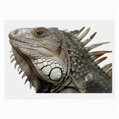 Iguana Portrait Profile Close Up Large Glasses Cloth