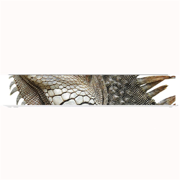 Iguana Portrait Profile Close Up Small Bar Mats