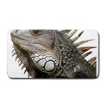 Iguana Portrait Profile Close Up Medium Bar Mats 16 x8.5  Bar Mat