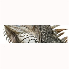 Iguana Portrait Profile Close Up Large Bar Mats