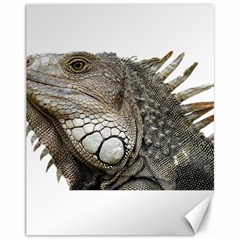 Iguana Portrait Profile Close Up Canvas 11  X 14  by Wegoenart