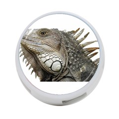 Iguana Portrait Profile Close Up 4-Port USB Hub (Two Sides)