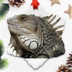 Iguana Portrait Profile Close Up Ornament (snowflake)