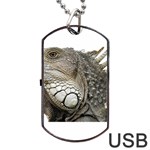 Iguana Portrait Profile Close Up Dog Tag USB Flash (One Side) Front