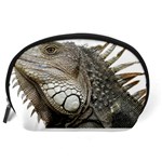 Iguana Portrait Profile Close Up Accessory Pouch (Large) Back