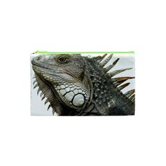 Iguana Portrait Profile Close Up Cosmetic Bag (xs) by Wegoenart