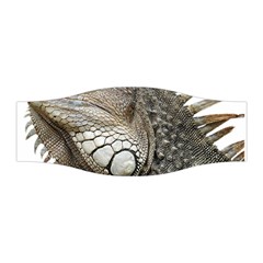 Iguana Portrait Profile Close Up Stretchable Headband by Wegoenart