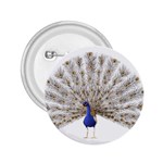 Peacock Colorful Bird Feather Blue 2.25  Buttons Front