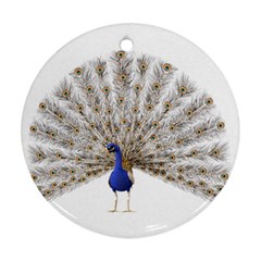 Peacock Colorful Bird Feather Blue Ornament (Round)