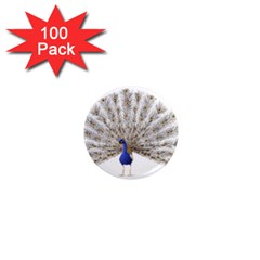 Peacock Colorful Bird Feather Blue 1  Mini Magnets (100 pack) 