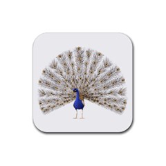 Peacock Colorful Bird Feather Blue Rubber Coaster (Square) 