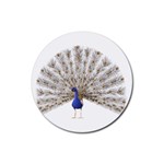 Peacock Colorful Bird Feather Blue Rubber Round Coaster (4 pack)  Front