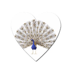 Peacock Colorful Bird Feather Blue Heart Magnet