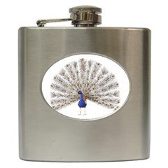 Peacock Colorful Bird Feather Blue Hip Flask (6 oz)