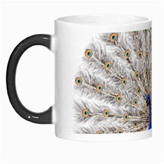 Peacock Colorful Bird Feather Blue Morph Mugs