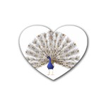 Peacock Colorful Bird Feather Blue Rubber Coaster (Heart)  Front