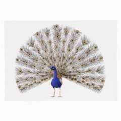 Peacock Colorful Bird Feather Blue Large Glasses Cloth