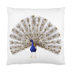 Peacock Colorful Bird Feather Blue Standard Cushion Case (One Side)