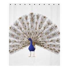 Peacock Colorful Bird Feather Blue Shower Curtain 60  x 72  (Medium) 