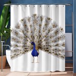 Peacock Colorful Bird Feather Blue Shower Curtain 60  x 72  (Medium)  60 x72  Curtain