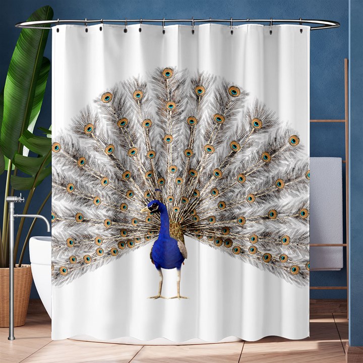 Peacock Colorful Bird Feather Blue Shower Curtain 60  x 72  (Medium) 