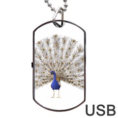 Peacock Colorful Bird Feather Blue Dog Tag USB Flash (One Side)